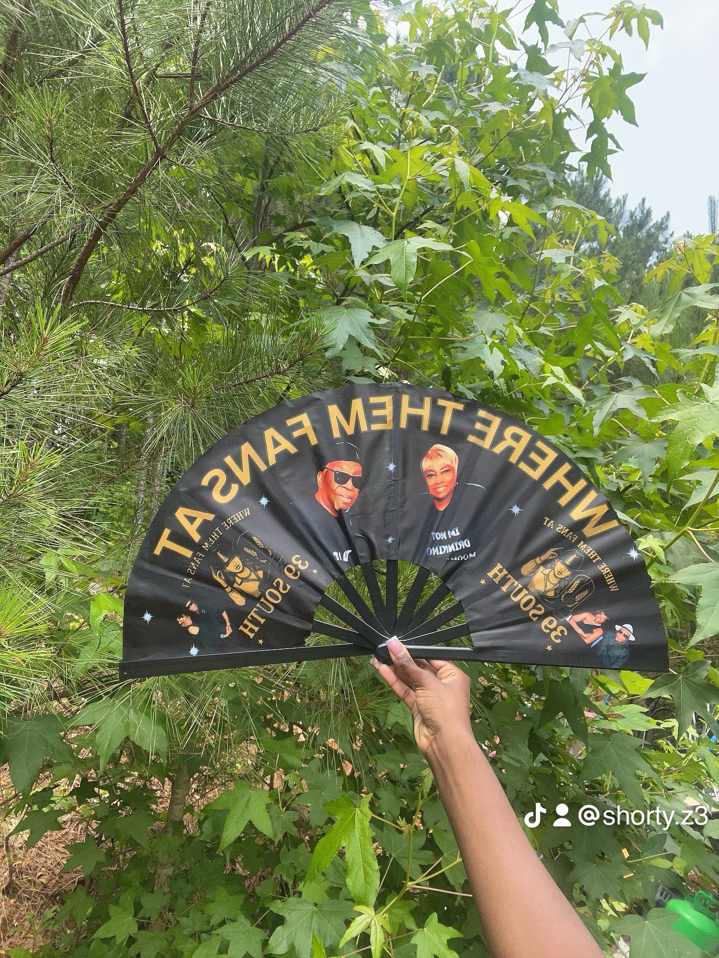 Fan ( personalize it )