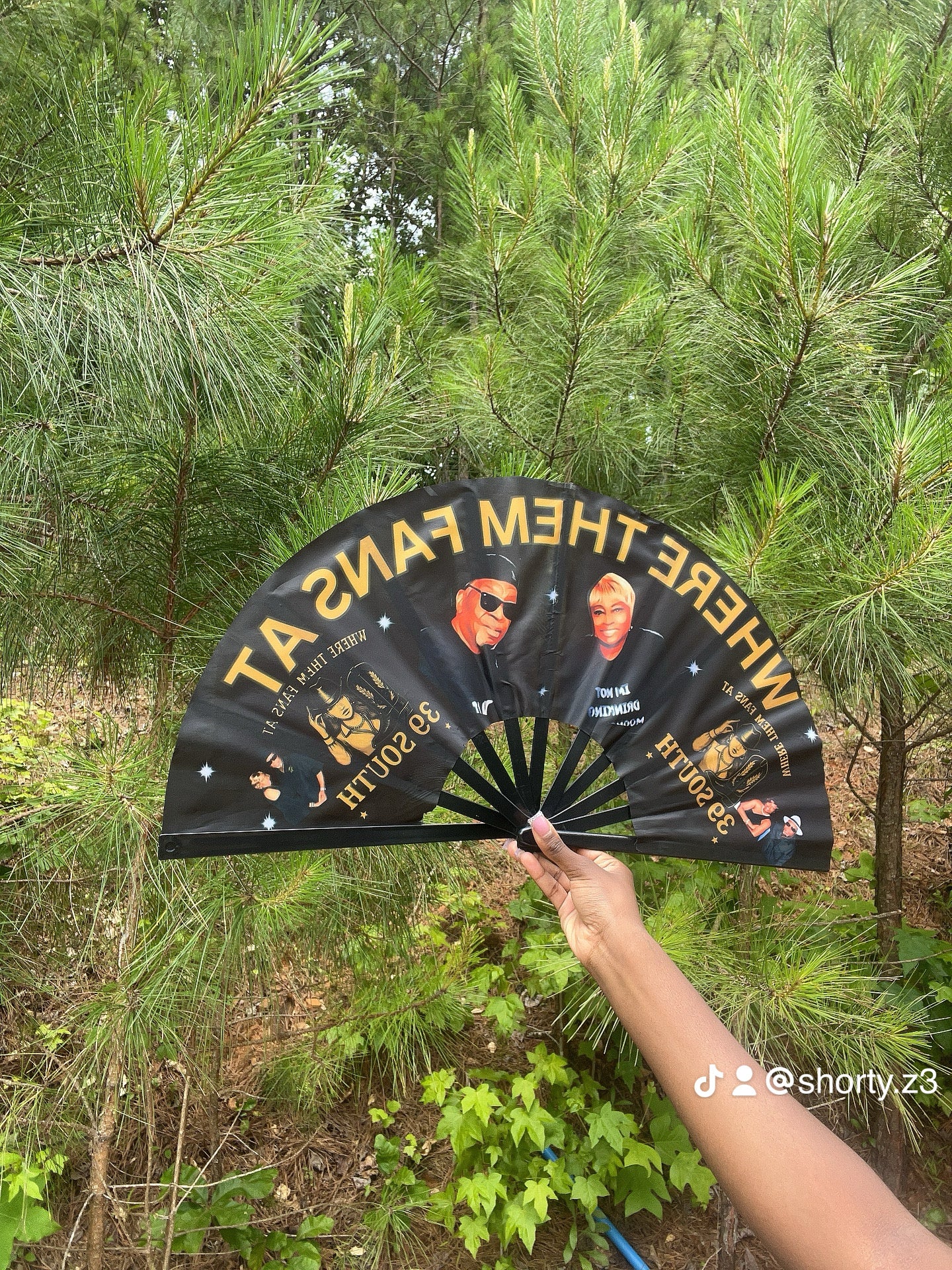 Fan ( personalize it )